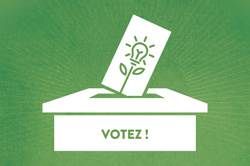 Vignette_5_La_campagne_de_vote.png