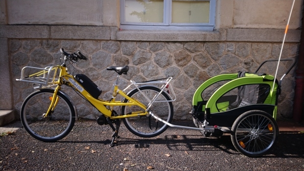 canaris
