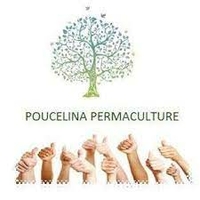 Poucelina